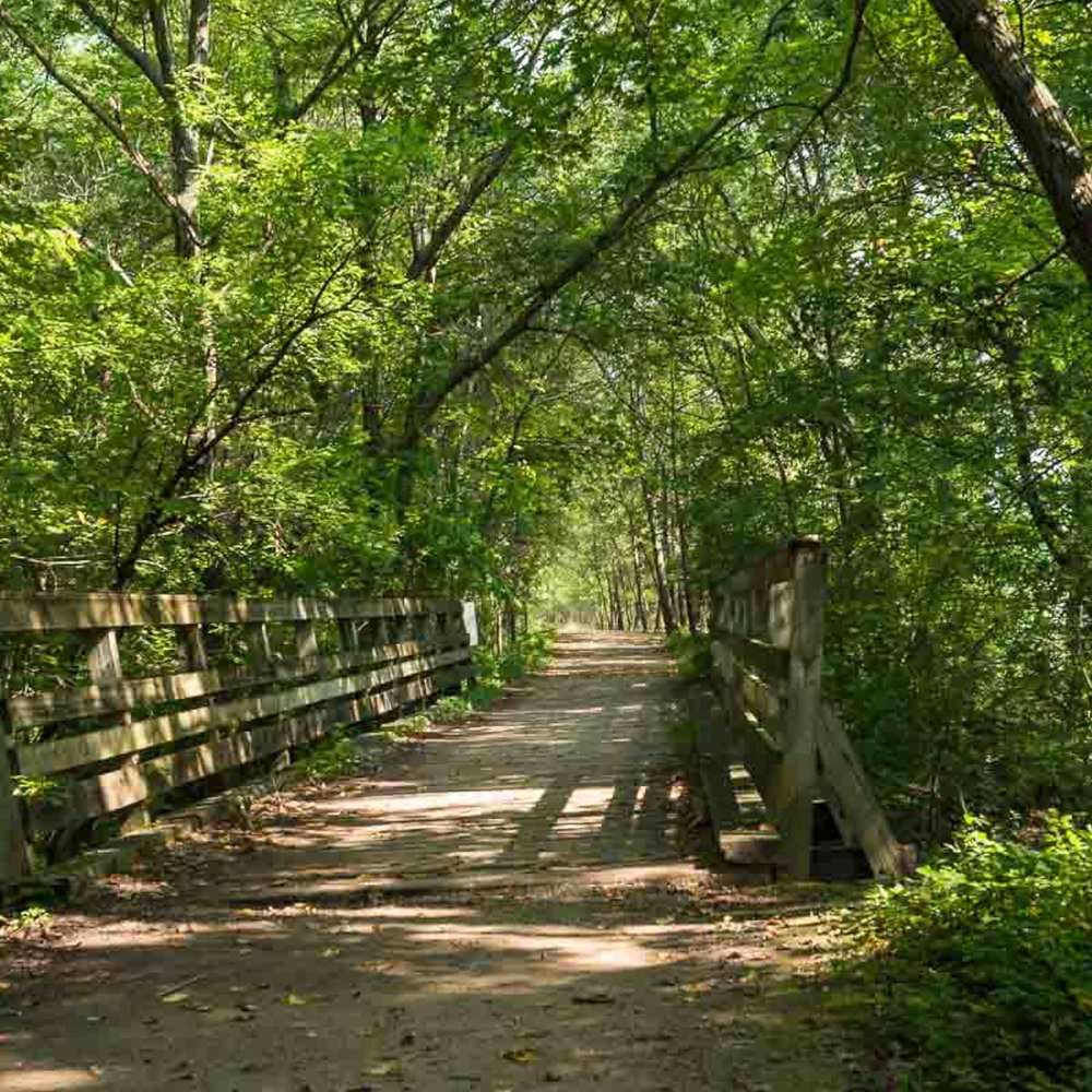 Eight State Parks within an Hour of the Twin Cities