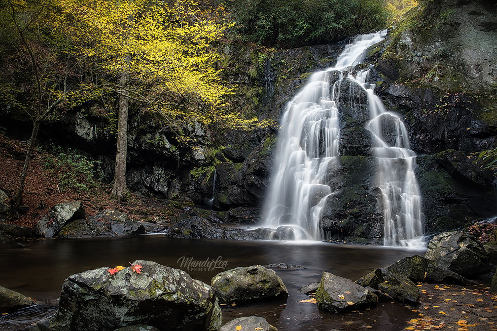 Thumbnail: Smoky Mountain Flowers & Falls
