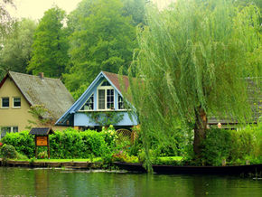 Does Amazon charge for Ring?