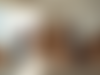 From Heavy Lifting to Handyman Jobs: How Technico Excels in Every Task