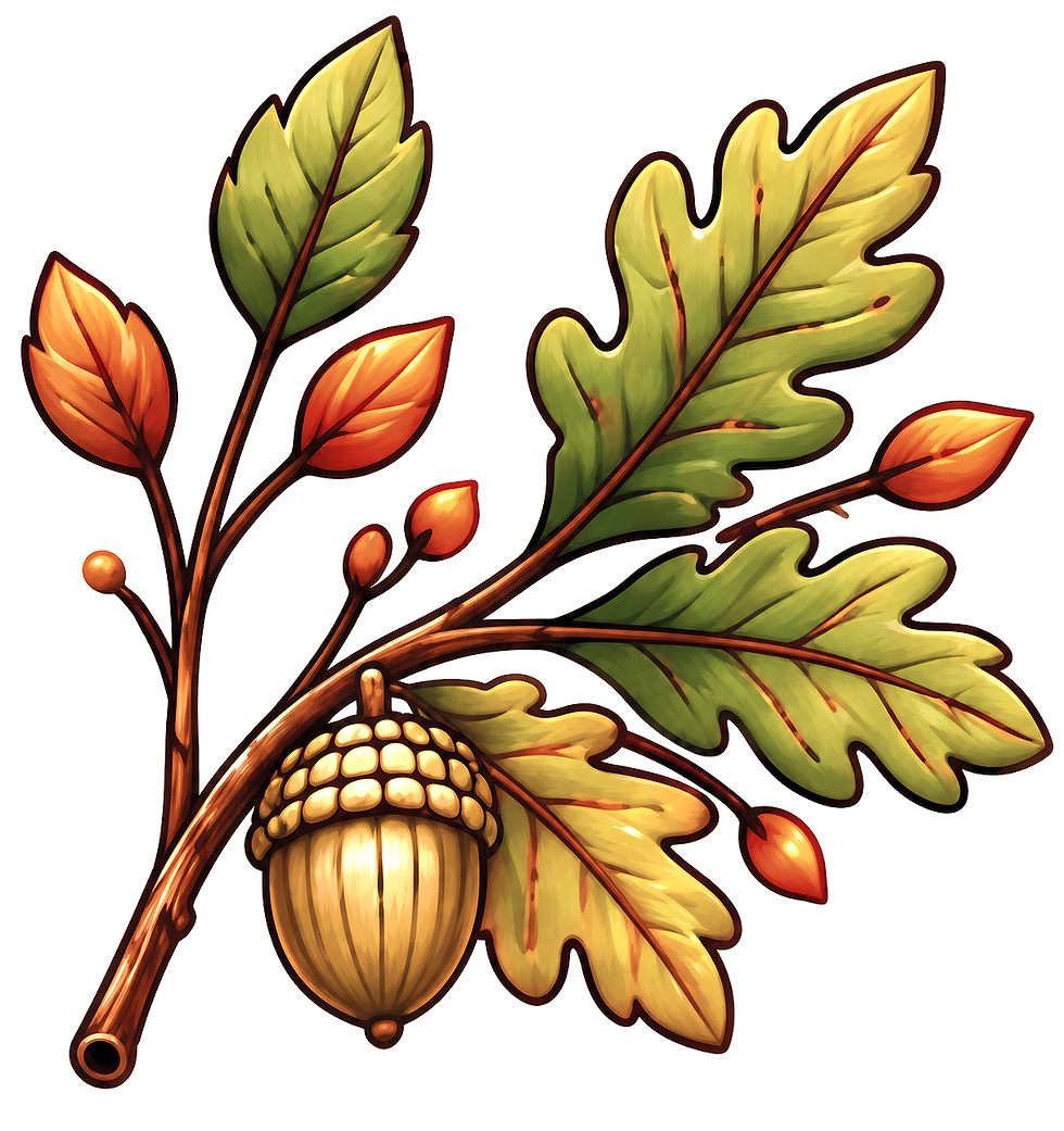 new graphic element 23_edited_edited.png