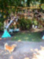 1749967 (1)_edited.jpg