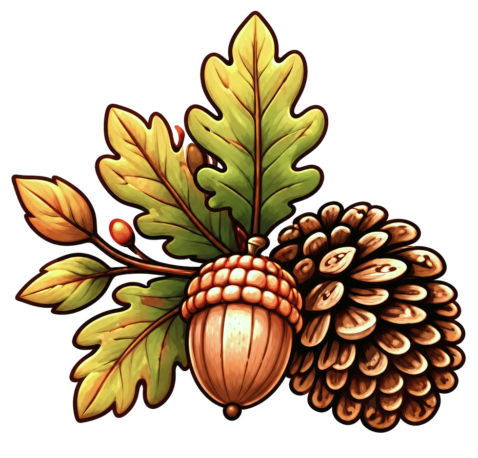 new graphic element 22_edited_edited_edited.png