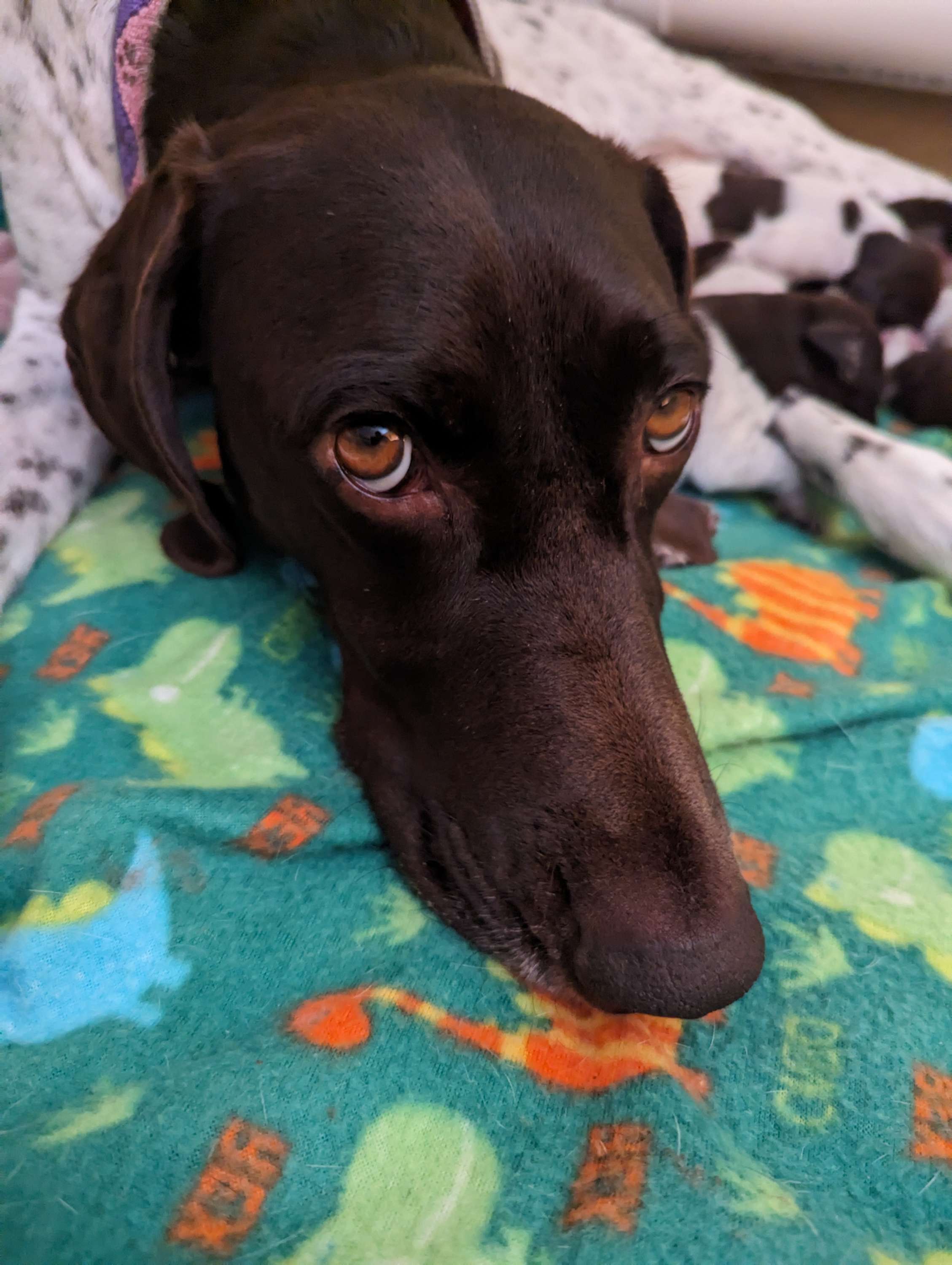 Writer: Jenna Thesing 