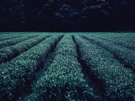 03-13 Cuộc Sống Xa Rời Chúa