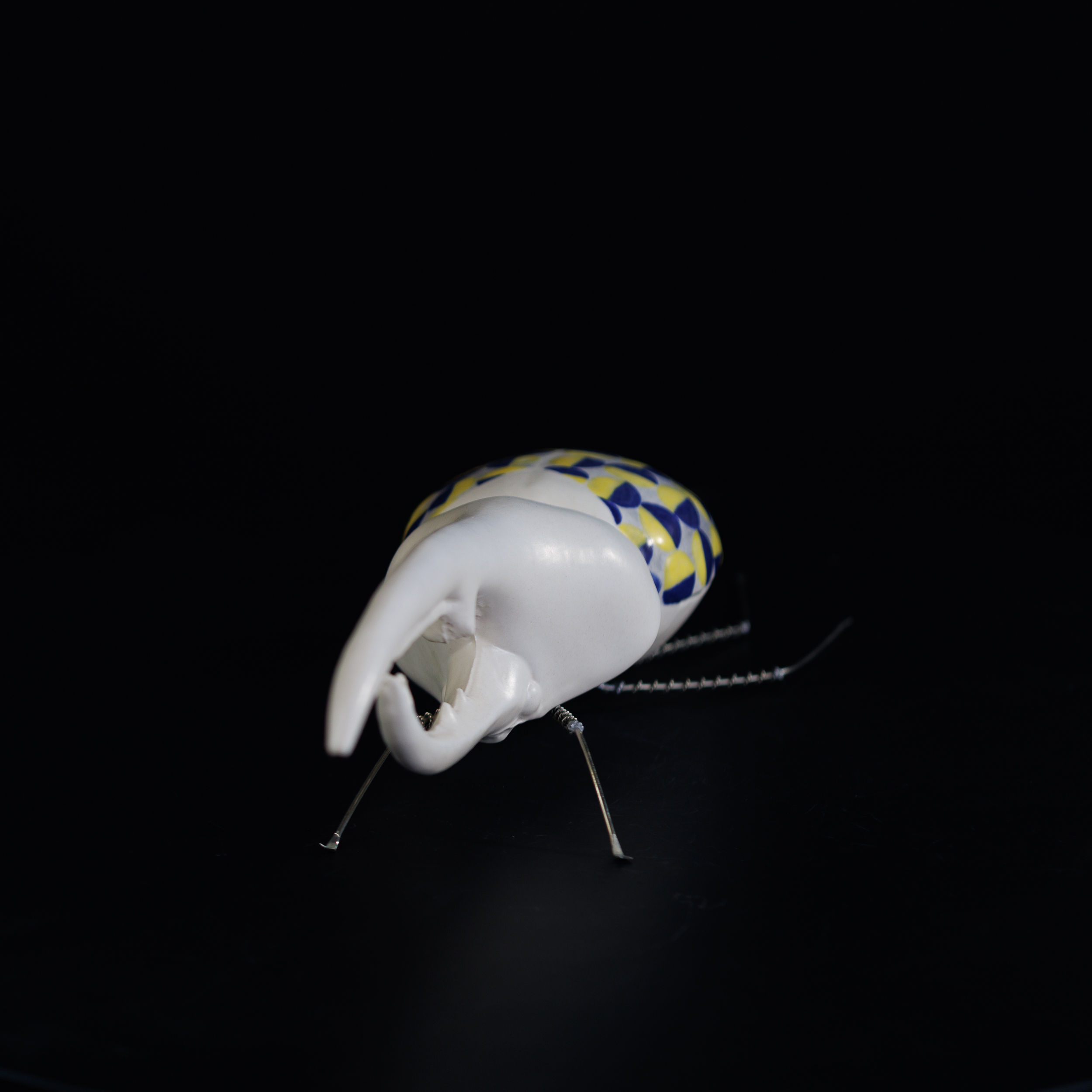 Escarabajo Hércules