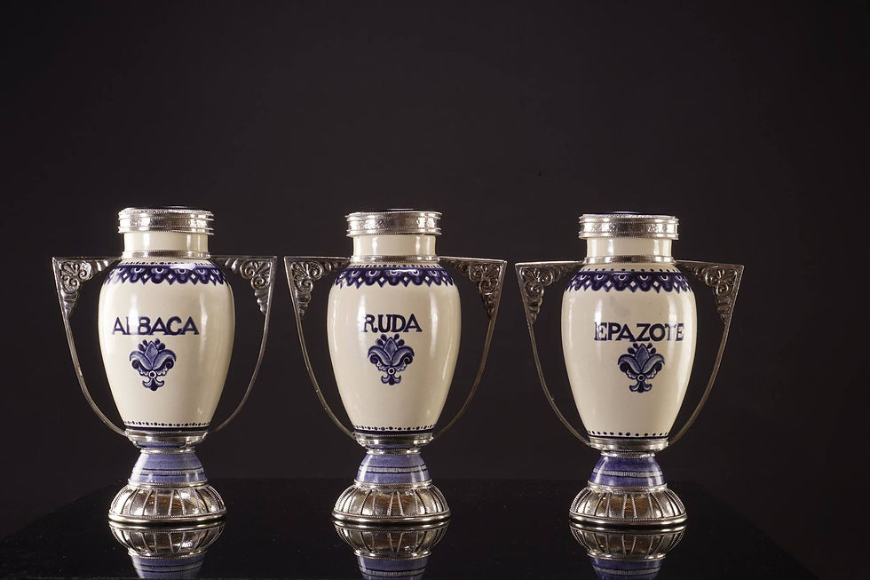 Vasijas blancas especies juego 3 pz