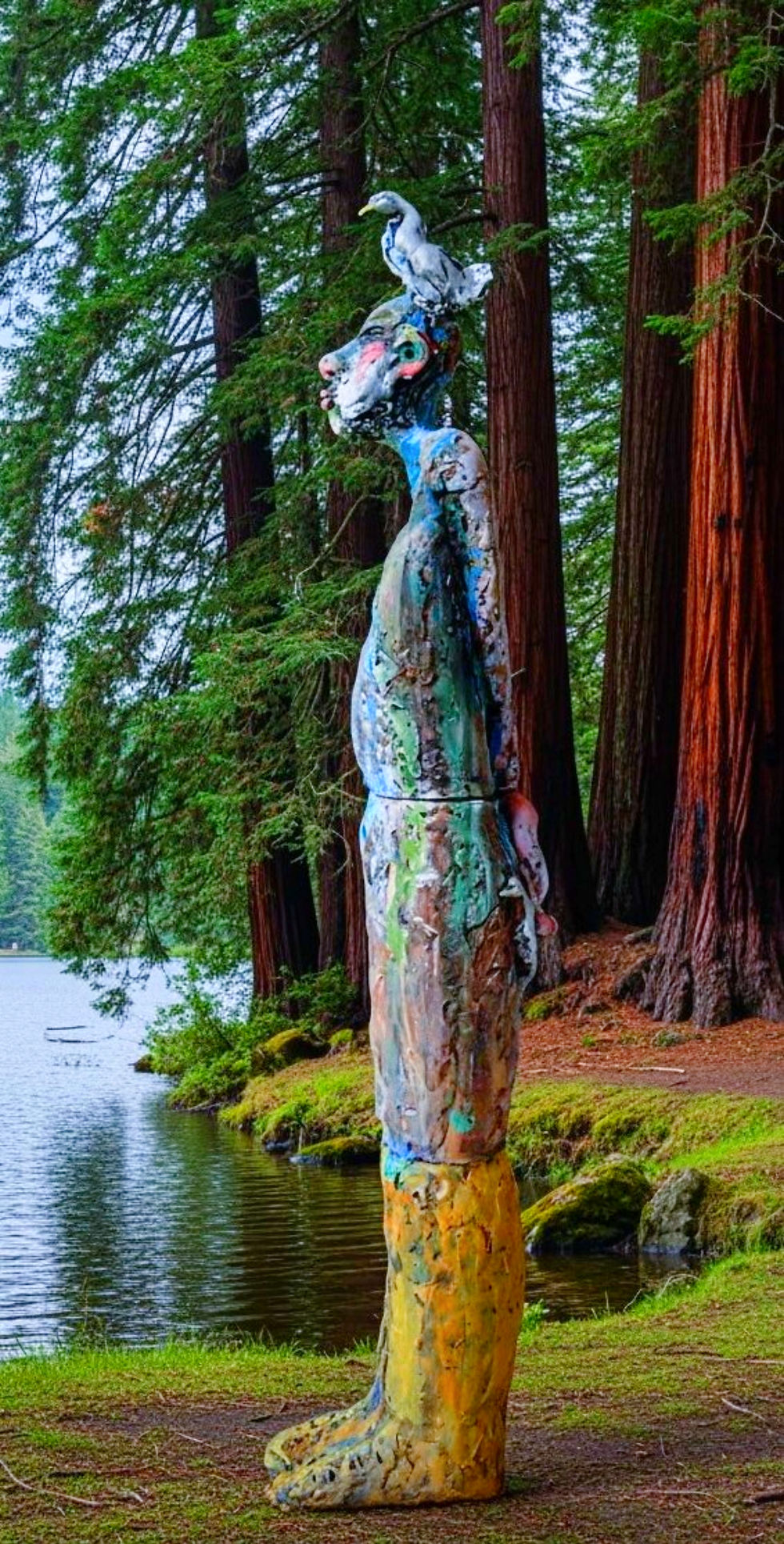 Redwoods