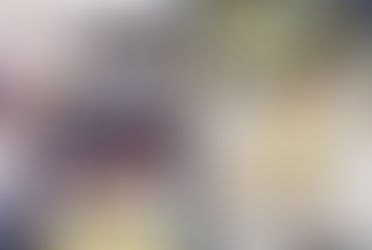 ROE-338 – O  melhor amigo do meu filho!