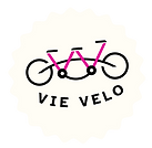 VIE Velo Logo Image