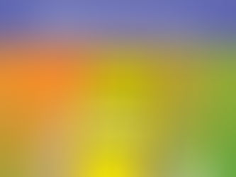 Somos o Nº 1 no Spotify para 209 fãs!