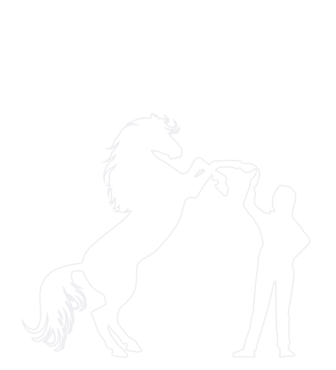 Illustration-equicoaching.png