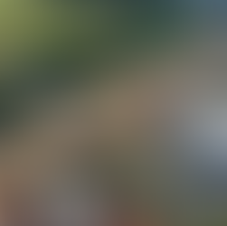 Rodovias do Tietê obtém Licença Ambiental de Operação para toda a malha viária