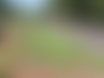 Rodovias do Tietê realiza nova etapa de manutenção em rodovias do Corredor Leste da Marechal Rondon