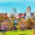 Untitled design (1).png