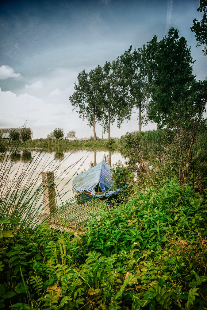 The Netherlands Canal Nature
