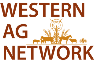 275914 WANLogo2023_Gold_CMYK.png