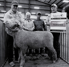 High Selling Targhee_edited.jpg