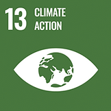Net Zero Stack_SDG 13_Climate Action