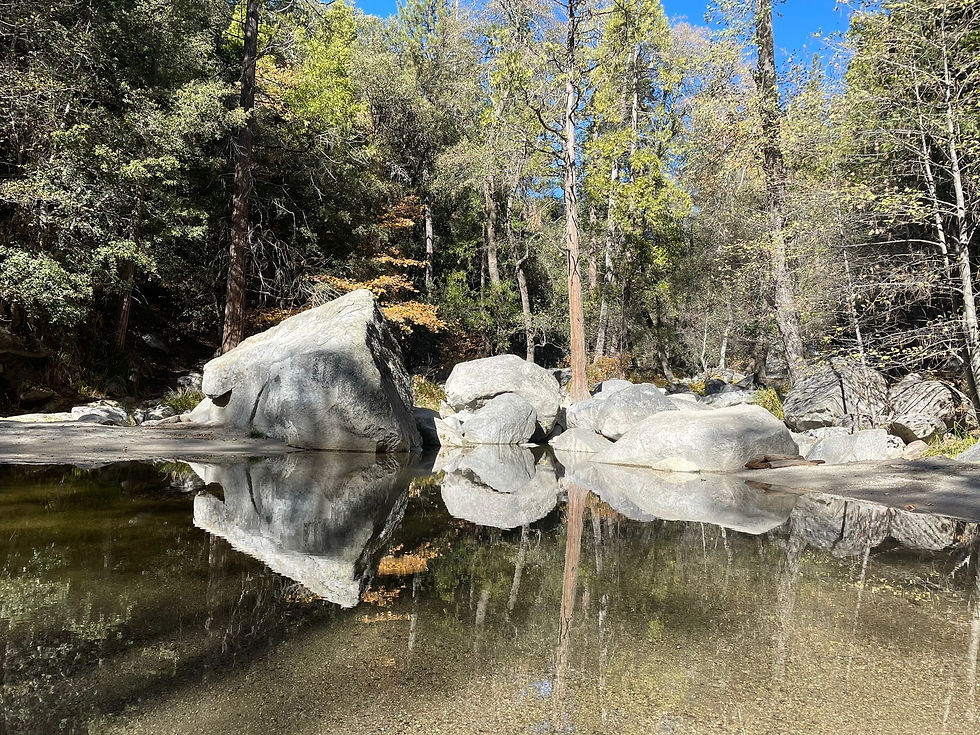 Bee Canyon La Orisha Ranch