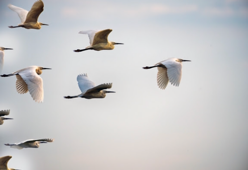 Leadership isn't about skills, it's inspiring your followers