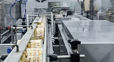 Investment Casting Parts for Industrial Engineering Systems