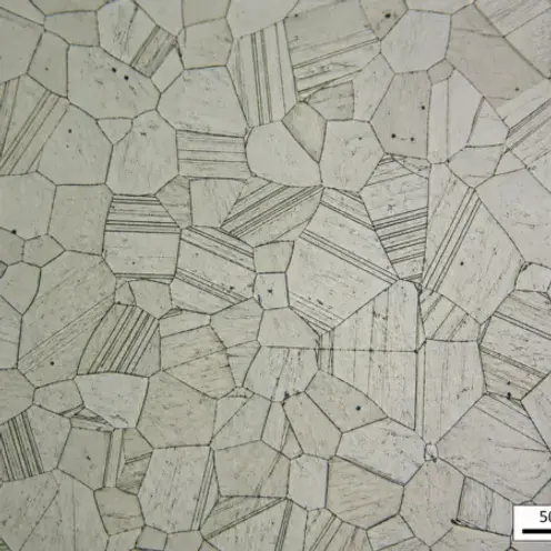 Microstructure of SS Castings