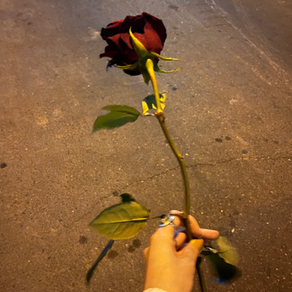 TOULOU Flamepieces_Hafez Shirazi_Poetry_Yalda Night_Culture_Iranian Heritage