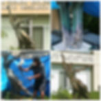 City of Hope Bronze Restoration
