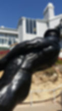 Dana Point Hyde Drogher Restoration