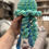 Thumbnail: Newborn Jellies!
