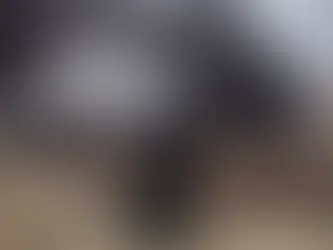 The New Reality of Technology Risk: What Global Conflicts Are Teaching Business Leaders in 2026