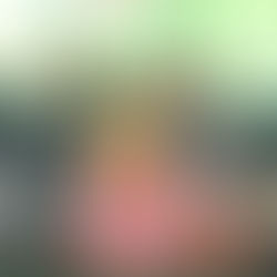 Global Citizenship and Sustainable Leadership