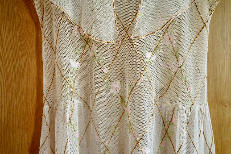 섬네일: Antique 1920s Embroidered Net Mesh Sheer Dress with Cape Collar