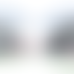 Planning submitted for a dwelling in Stoke Bishop