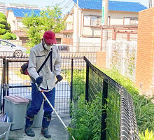 edLbjCJVLhjx8BfGnQlTbSaUs8dzOXX2UPnZWaXq