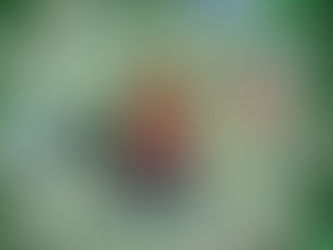 HellzGurl in the Interwebs!