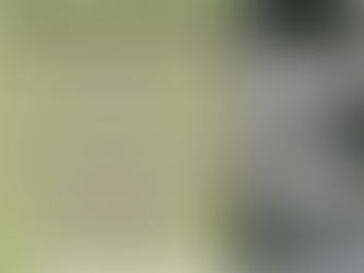 Chronic Pain Awareness Month