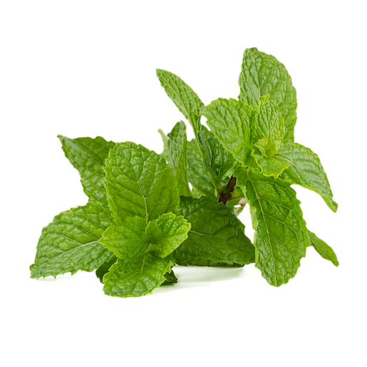Kräuter-Pfefferminz