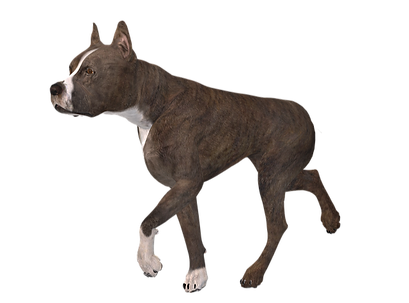 Grosser Hund
