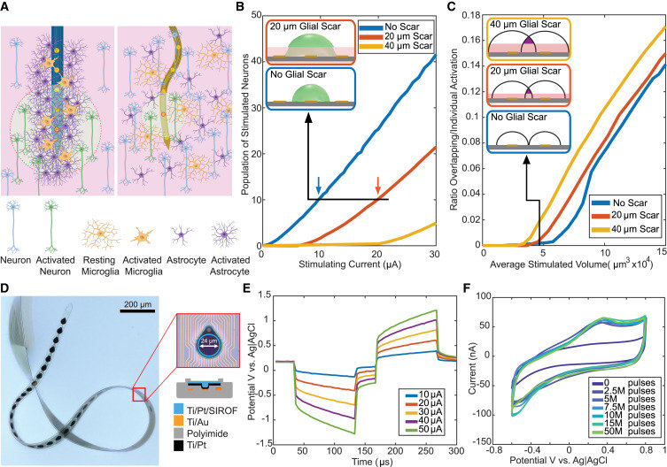 31. Low-threshold, high-resolution, chronically stable intracortical ...