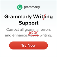 Grammarly Writing Support