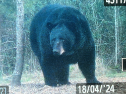 0C22D6EA-36E3-4EB5-B0A0-C208EEA8DADE