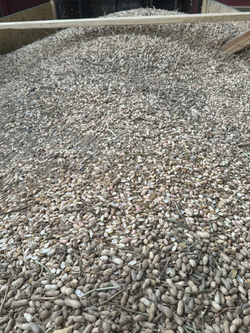 3A319993-B84D-40DF-B383-BF0CF2E1C096