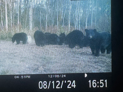 48A5437E-39AA-4206-8E9E-01FF0BE757FF