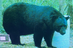 1DD6B93D-BC57-4CB5-86A8-65E86323FFE4