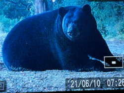 A54B8F63-D35A-4CAF-910A-0324A9041B2B