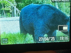 B7F62D6F-ECED-461E-9E68-ECB3F2557AF4