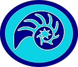 Surastrian Nautiluses.png
