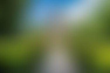 I’m currently in the 8th grade, and I want to get into Harvard. How can I ensure that I will get into Harvard?